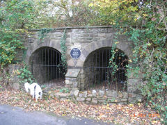 Lime kilns on Ty Coch Lane, Oakfield, November 2007