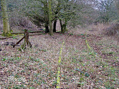 
Burton's sidings, Llantarnam, January 2006