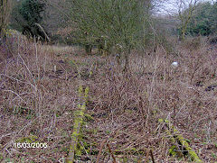 
Burton's sidings, Llantarnam, January 2006