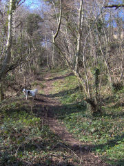 
Incline to Upper Cwmbran, March 2005