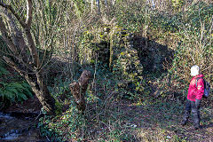 
Bridge over the incline foot and 'main adit', January 2014