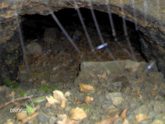 
Coal seam near Upper Cwmbran Colliery