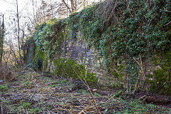 
The back wall of the Colliery with modern-day Springvale above it, January 2014