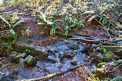 
The colliery 'main adit' next to the incline to Upper Cwmbran, January 2014