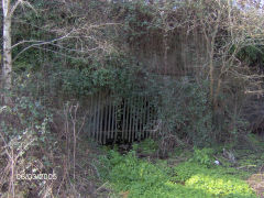 
'Water adit' drainage level, March 2005