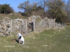 
Garn Wen level tippler and foundations, Upper Cwmbran, March 2005