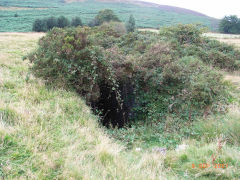 
Garn Wen level, Upper Cwmbran, September 2007