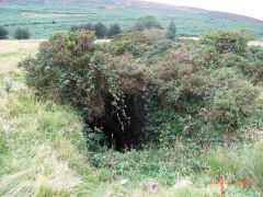 
Garn Wen level, Upper Cwmbran, September 2007