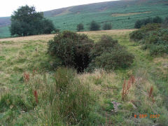 
Garn Wen level, Upper Cwmbran, September 2007