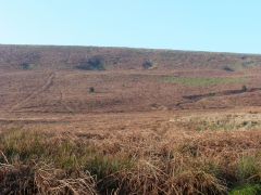 
Garn Wen trial level and quarries, Upper Cwmbran, January 2012