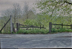 
Around Sneyd Lodge and Llantarnam Hall, Malpas, 1981, © Photo courtesy of Stan Edwards