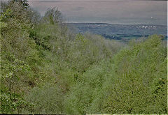
Around Sneyd Lodge and Llantarnam Hall, Malpas, 1981, © Photo courtesy of Stan Edwards