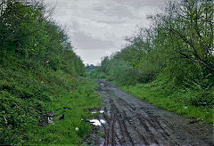 
Pentre Lane to Ty Coch, 1981, © Photo courtesy of Stan Edwards