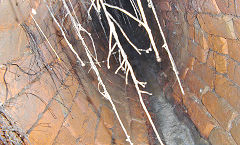 
Railway culvert alongside Cwmbran Drive, February 2020, © Photo courtesy of Chris Jackson