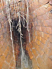 
Railway culvert alongside Cwmbran Drive, February 2020, © Photo courtesy of Chris Jackson