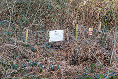 
Porthmawr Colliery, the site of the 1837 level, February 2016