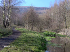 
Site of Woodside Brickworks, March 2005