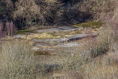 Cwmynyscoy lower quarry, February 2015