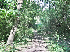 Cwmynyscoy Tramroad, August 2021