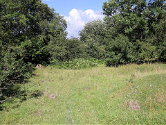 Cwmynyscoy Tramroad, August 2021