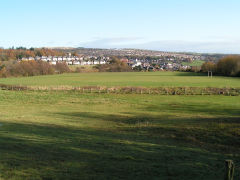 The site of Gwenallt Colliery as seen from the high-level line, November 2008
