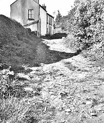 Cwmynyscoy Tramroad at Victoria Road, 1952, © Photo courtesy of Bertram Baxter and RCHS