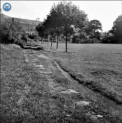 Tramroad Cottage, Seven Arches, c1952, © Photo courtesy of Bertram Baxter and RCHS