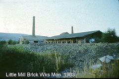 Little Mill Brickworks in 1983, © Coflein