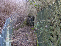 
Pontypool Gasworks subway, March 2006