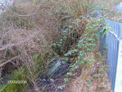 Pontypool Gasworks subway, March 2006
