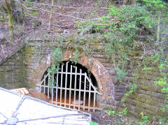 
Plasycoed drainage level from the Eastern Valleys and Plas-y-coed collieries, Pontnewynydd, May 2010