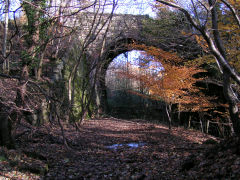 
GWR Cwmffrwdoer branch under the high-level line, November 2008