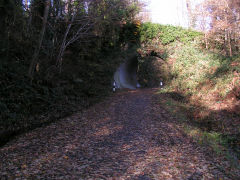 
Re-inforced bridge on the Cwmffrwdoer high-level line, Pontnewynydd, November 2008