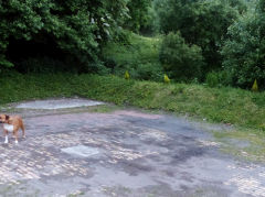 One of the Elled Colliery levels behind the Queens Inn, Pontnewynydd, June 2013