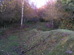 Tranch Colliery from the South, Pontnewynydd, November 2008