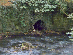 Pontypool Park lower tunnel, August 2011