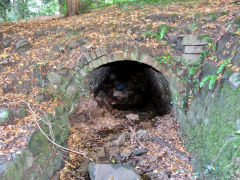Pontypool Park lower tunnel, August 2011