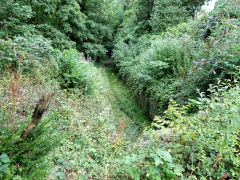 Tramway tunnel approach, Pontypool, August 2011