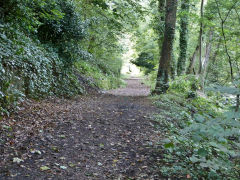 Tramway looking North, Pontypool, August 2011