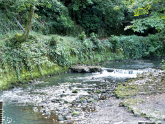 
Tramway looking North, Pontypool, August 2011