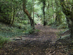 Tramway looking North, Pontypool, August 2011
