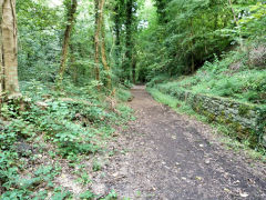 
Tramway looking South, Pontypool, August 2011