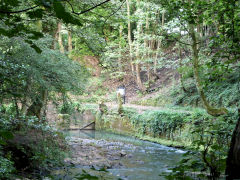 Tramway looking South, Pontypool, August 2011