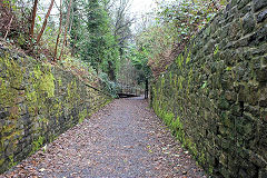 
Tramway tunnel approach, Pontypool, © Photo courtesy of Gwent Caving Club