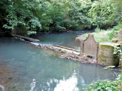 Trosnant weir, Pontypool, August 2011