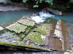 
Trosnant weir, Pontypool, August 2011