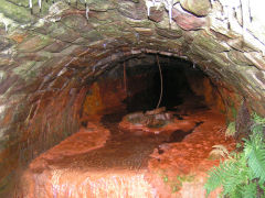 
Wainfelin and Tranch Iron Mine, November 2008