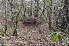 
Coch-y-North Lane Quarry, Old Furnace, March 2015