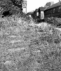 
Pontymoile basin tramroad sleepers, 1952, probably from the Trosnant Tramroad, © Photo courtesy of the Railway and Canal Historical Society