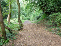 
Tramway looking South, Pontypool, August 2011